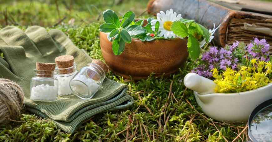 Kräuter und Pflanzen, natürliche Heilmittel für hormonelle Ungleichgewichte, in Schalen und Gläsern auf einer Wiese